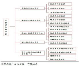 迪安診斷 基本概況、商業模式與產業生態分析